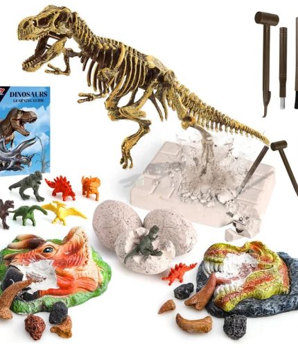Only for US Customers TOY Life DIY Realistic Dino Model Toy Skeleton Set Excavation Kit Fossil Dinosaur Set Dig Kit For Children