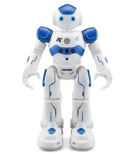 Samtoy Hot Selling Remote Control Smart Robot Gesture Sensing Control Toys Birthday Gifts RC Robot for Children