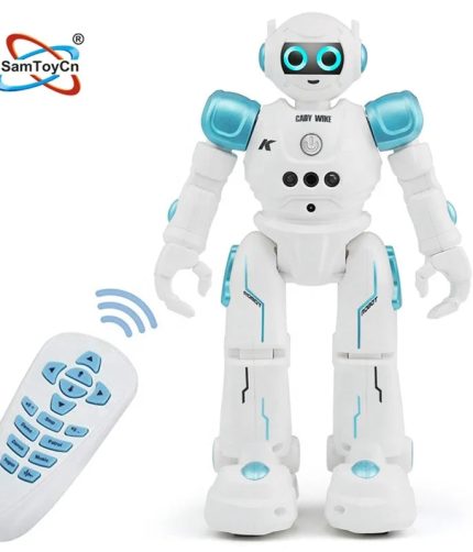 Samtoy Kids Programmable AI Gesture Remote Control RC Intelligent Dancing Toy Robots Smart Robot with Light Sound