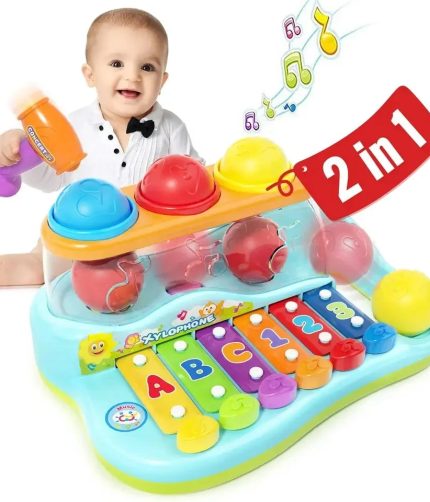 Other Musical Instrument